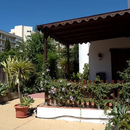 Camelia * Benalmadena