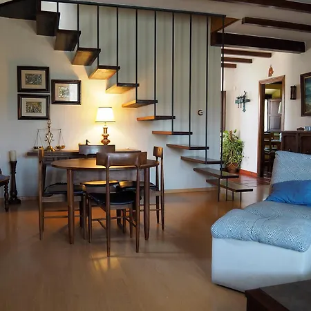 Camelia Guest house