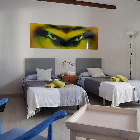 Camelia Guest house